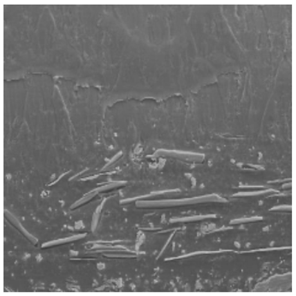 eastman-ce-microscopic-bad-flop.png eastman-ce-microscopic-bad-flop.png