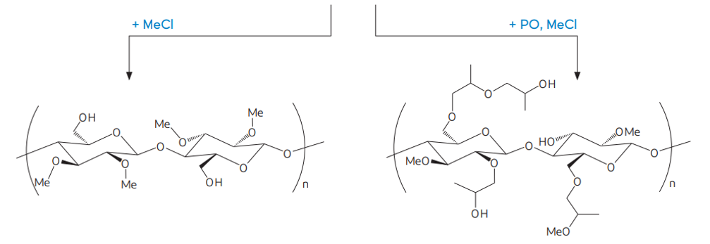 methocel-all-grades-1.png