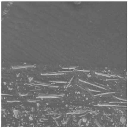 eastman-ce-microscopigc-good-flop-large.png eastman-ce-microscopigc-good-flop-large.png